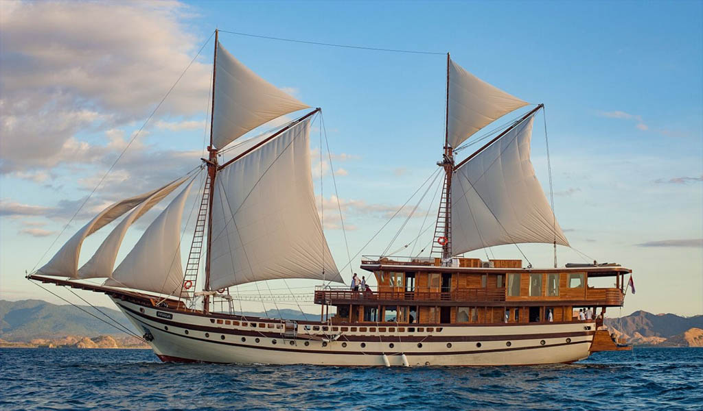 50 MODEL THUYỀN 1